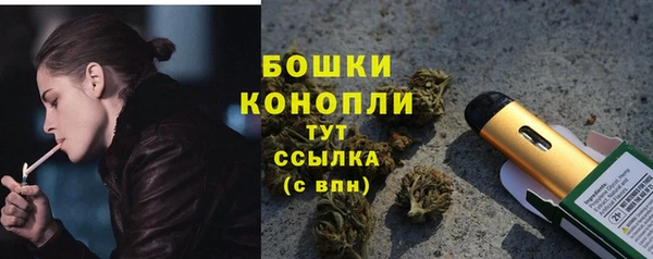 шишки Покровск