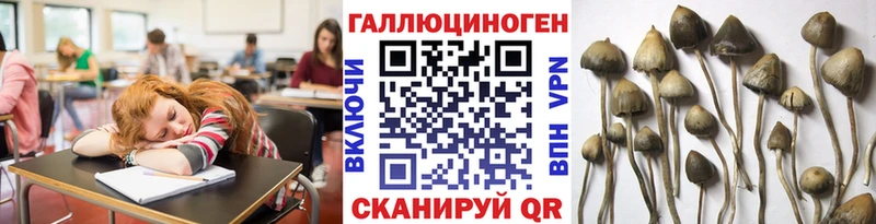 даркнет состав мега зеркало Любим купить закладку Псилоцибиновые грибы мицелий